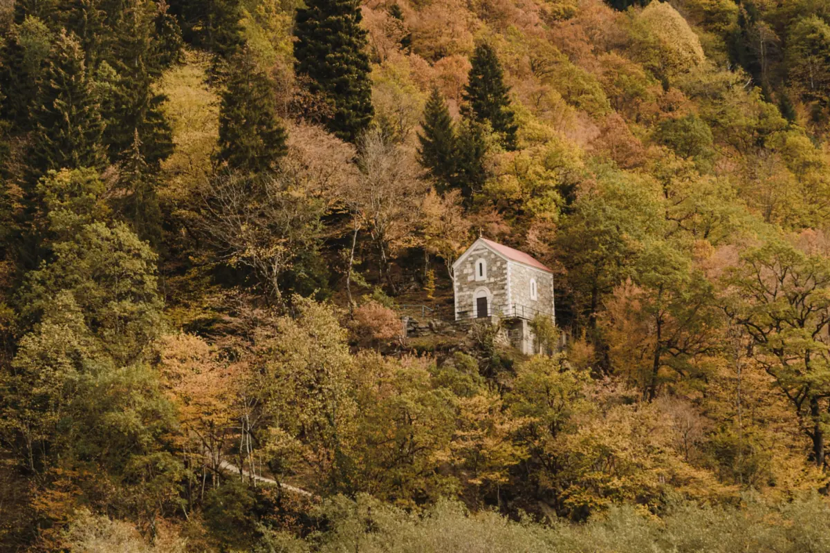 Осенний лесистый склон, среди деревьев — небольшой каменный дом